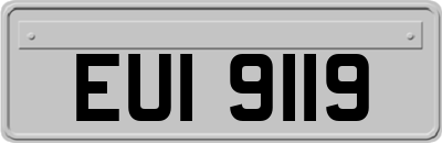 EUI9119