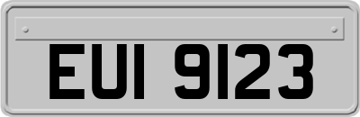 EUI9123