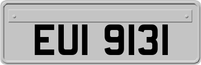 EUI9131