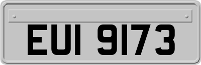 EUI9173
