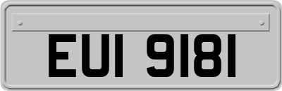 EUI9181