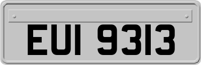 EUI9313