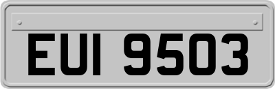 EUI9503