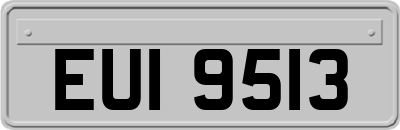 EUI9513