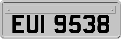 EUI9538