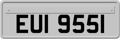 EUI9551