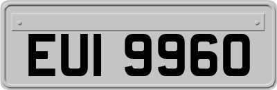 EUI9960