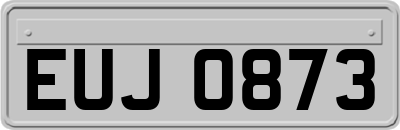EUJ0873
