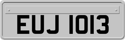 EUJ1013