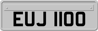 EUJ1100