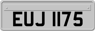 EUJ1175