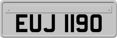 EUJ1190