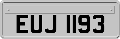 EUJ1193
