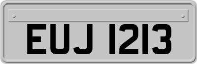 EUJ1213
