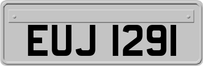 EUJ1291
