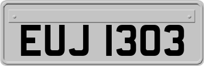 EUJ1303