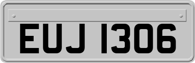 EUJ1306