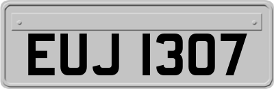 EUJ1307