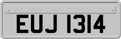 EUJ1314