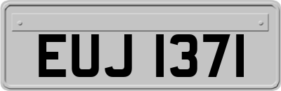 EUJ1371