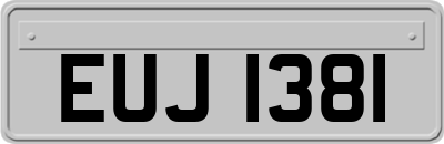EUJ1381