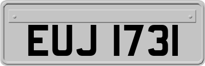 EUJ1731