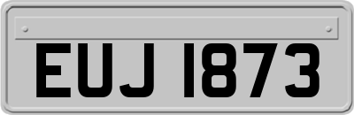 EUJ1873