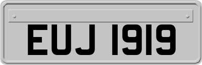 EUJ1919