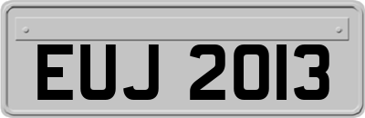 EUJ2013
