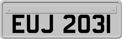 EUJ2031