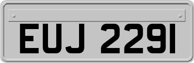 EUJ2291