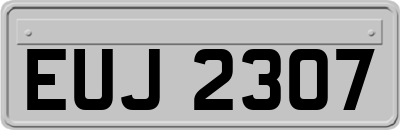 EUJ2307