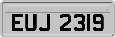 EUJ2319
