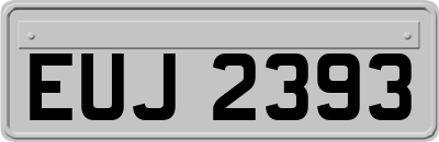 EUJ2393