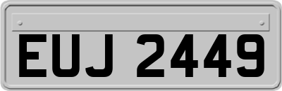 EUJ2449
