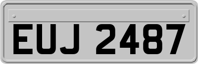 EUJ2487