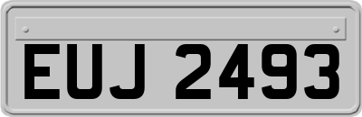 EUJ2493