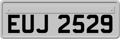 EUJ2529