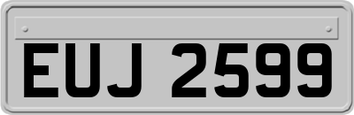 EUJ2599