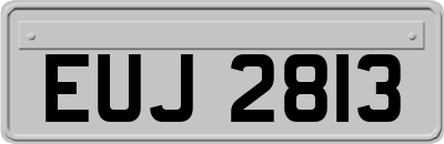 EUJ2813