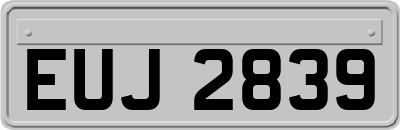 EUJ2839