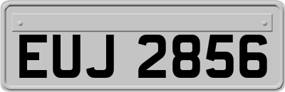 EUJ2856