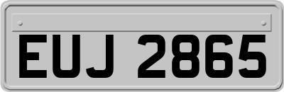 EUJ2865