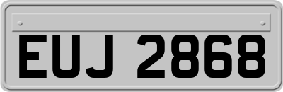 EUJ2868