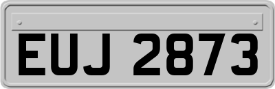 EUJ2873