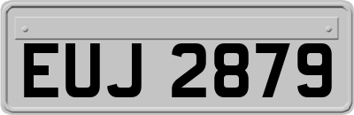 EUJ2879