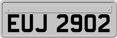 EUJ2902
