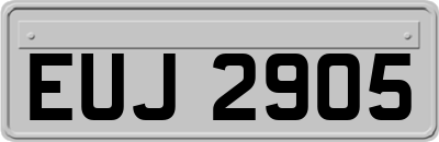 EUJ2905