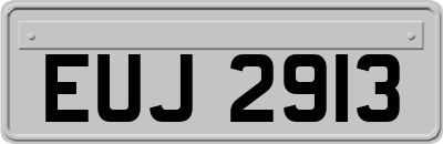 EUJ2913