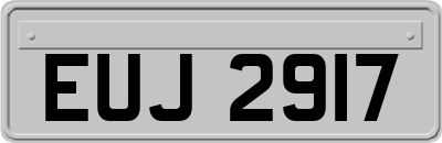 EUJ2917